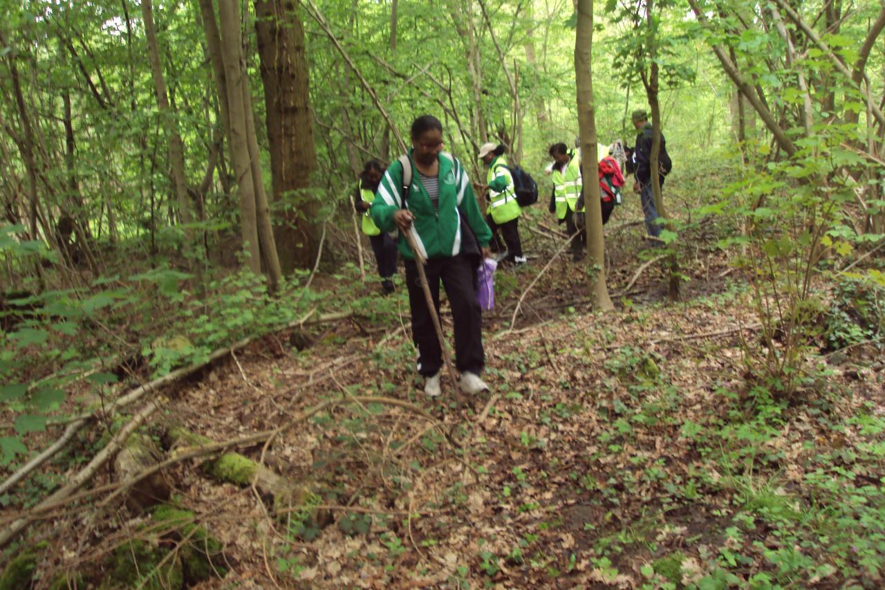 dans la forêt