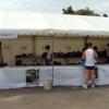 5 juillet 2009